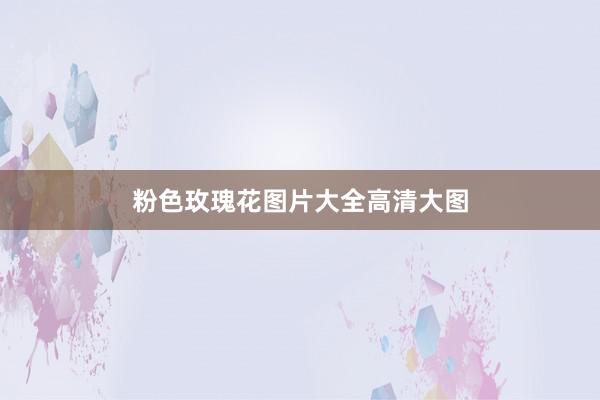 粉色玫瑰花图片大全高清大图