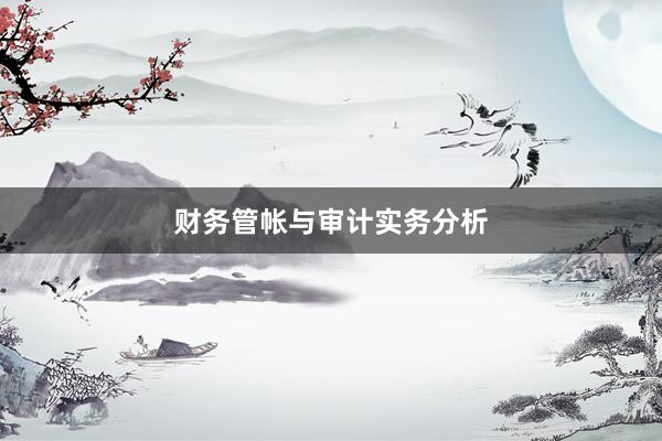 财务管帐与审计实务分析